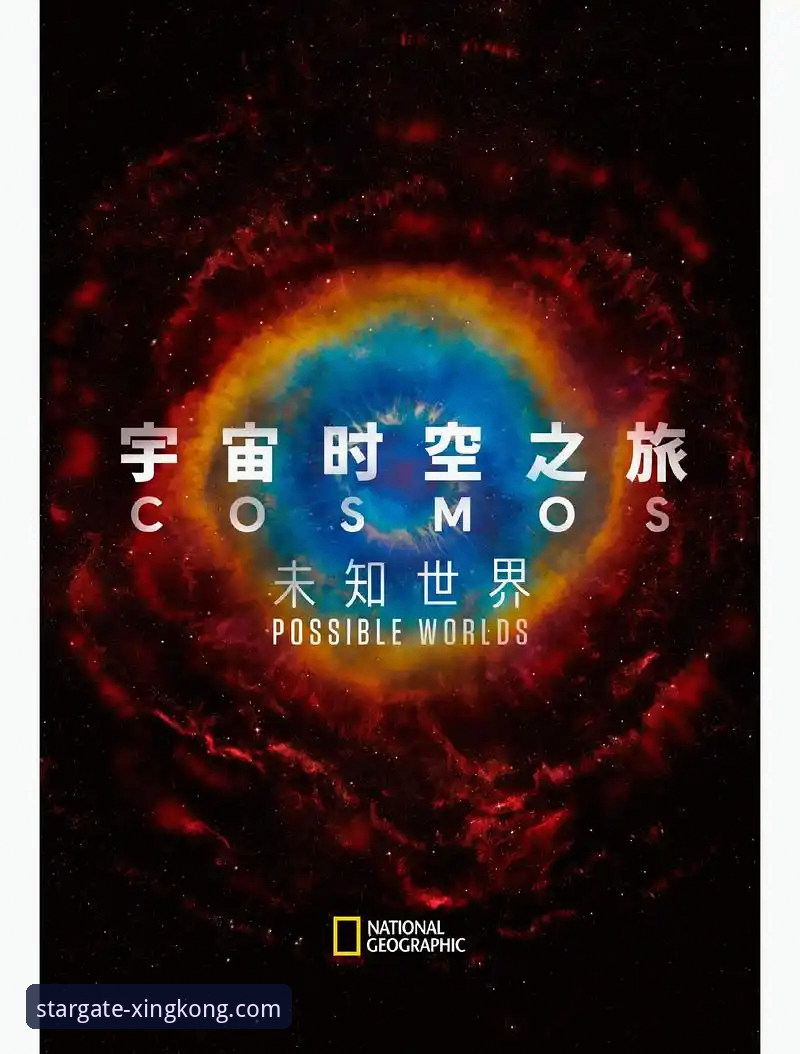 2026星空官网入口深度评测：探索无限可能的数字宇宙新起点
